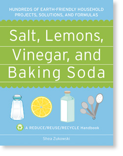 Salt, Lemons, Vinegar, and Baking Soda